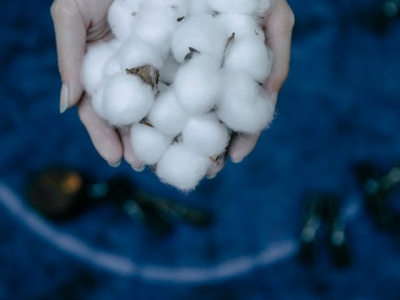 Mengenal Bahan Katun, Asal Mula, Pengertian dan Jenisnya